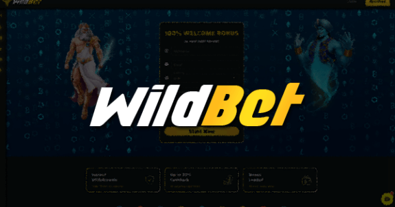 WildBet Casino