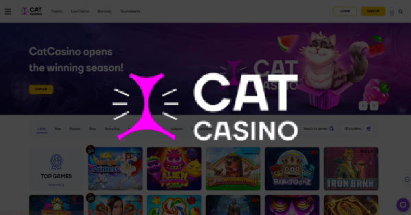 Cat Casino Logo