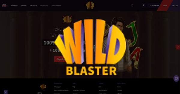 Wildblaster Casino Logo