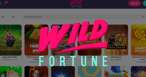 WildFortune Casino Logo