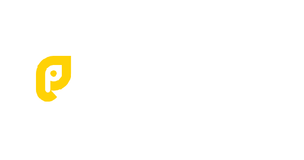 Playing.io Casino Logo